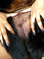 big tits brunette close up milf stockings